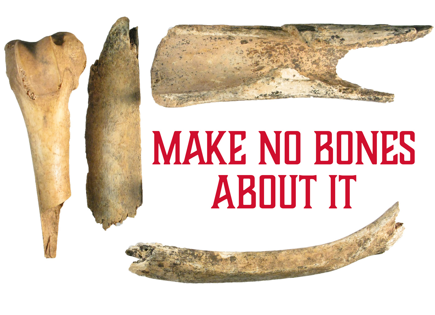 Virtual Lunch & Learn: Make No Bones About It – - July 17, 2020Orange