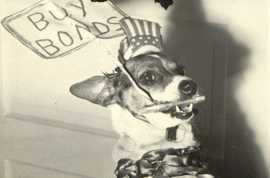 During Dark War Times, a Pooch Named Pinkey Brought Sunshine to Orlando